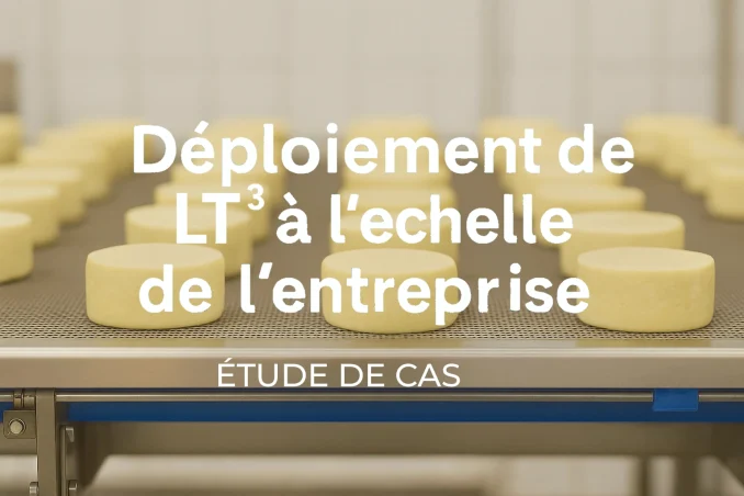 Fromages en cours de production sur un convoyeur - aperçu d’une ligne industrielle.